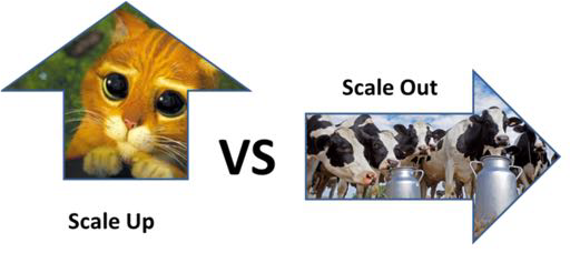 Pets vs Cattle